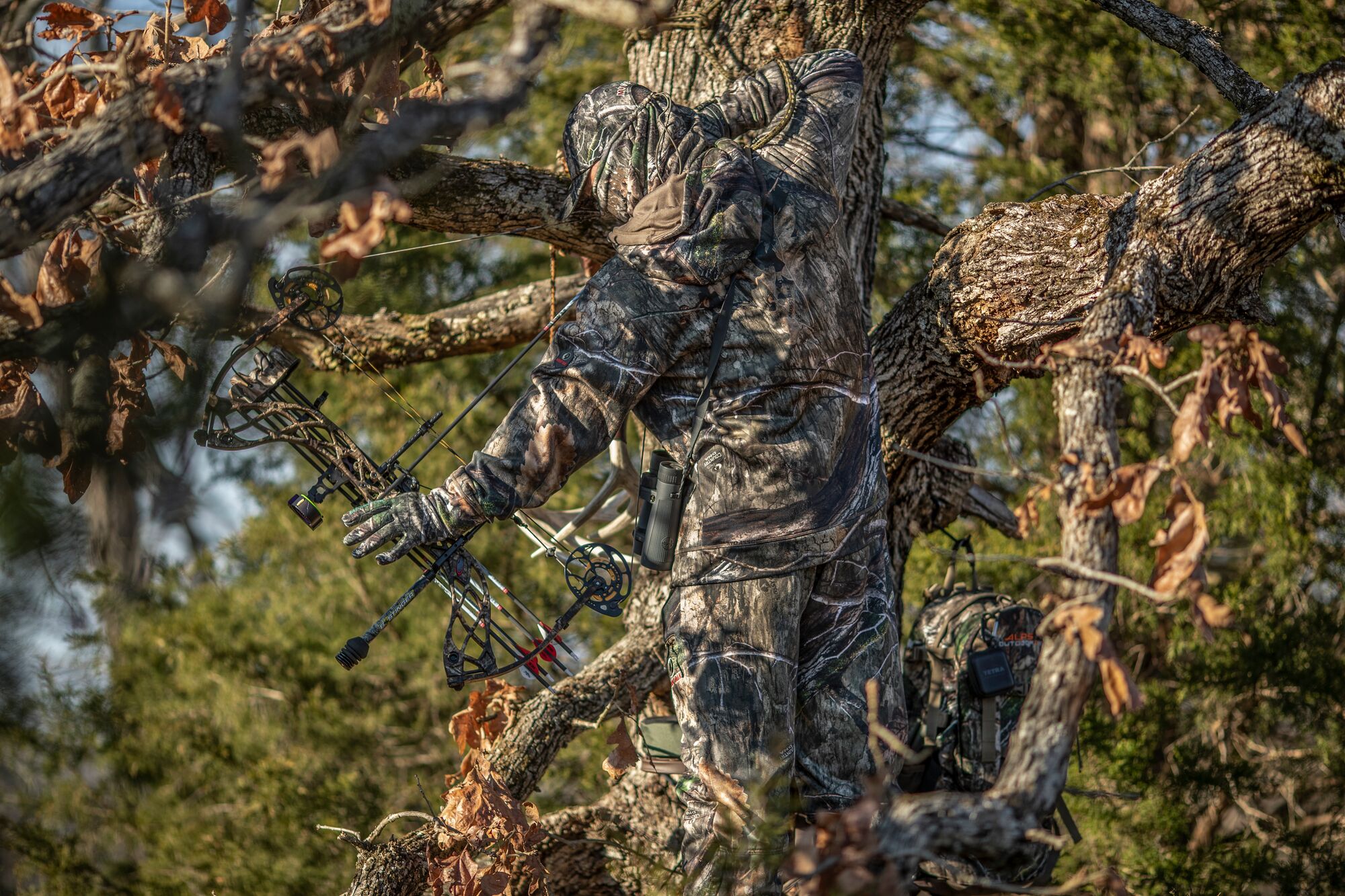 Nba Basketball Betting Odds