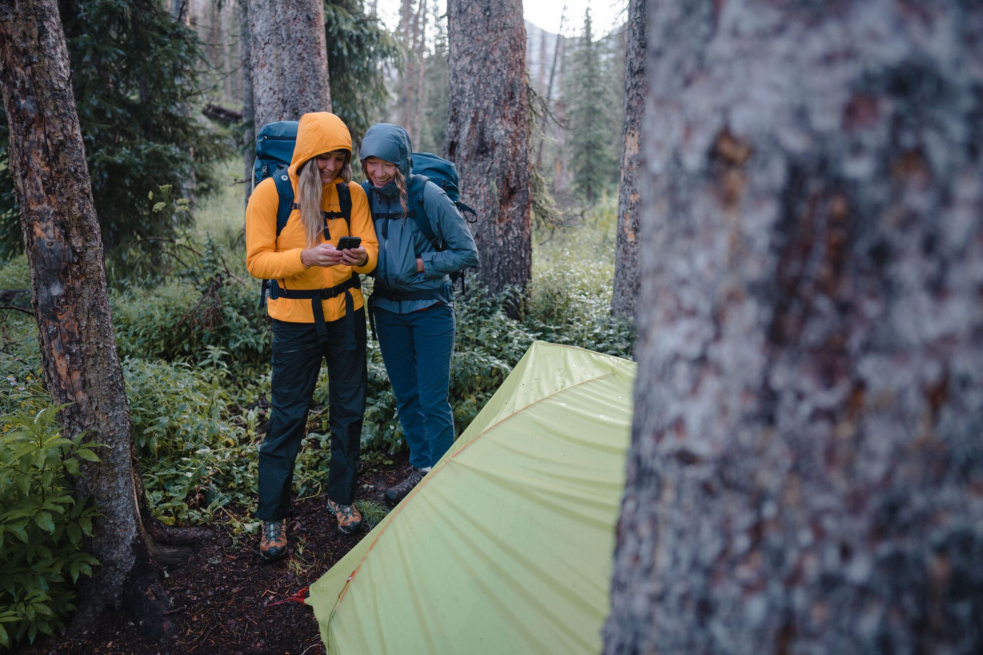 Nba Basketball Betting Odds